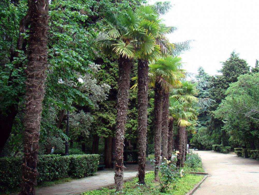 Гурзуфский парк