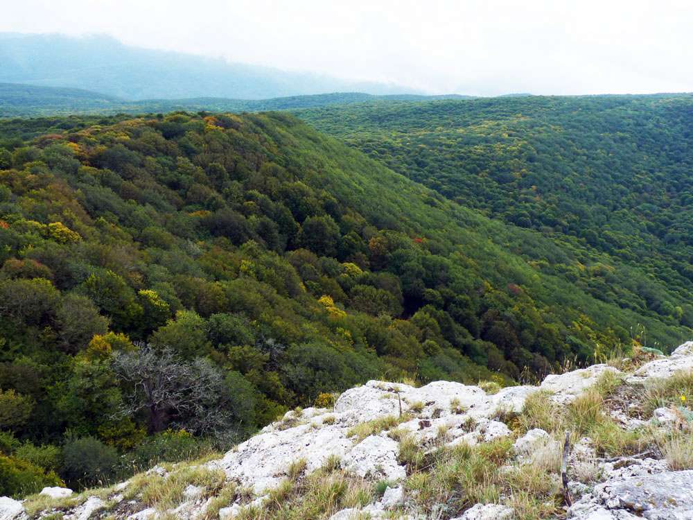 Белогорском районе крыма. Луговое Белогорский район Крым. Богатое Белогорский район Крым. Богатое Белогорский район Церковь. С лечебное Белогорский район Крым.